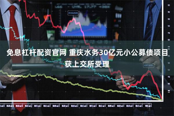 免息杠杆配资官网 重庆水务30亿元小公募债项目获上交所受理