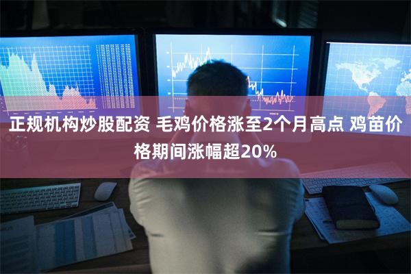 正规机构炒股配资 毛鸡价格涨至2个月高点 鸡苗价格期间涨幅超20%